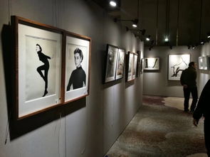 書(shū)畫(huà)展板租賃哪里便宜 煙臺(tái)書(shū)畫(huà)展板設(shè)計(jì) 煙臺(tái)書(shū)畫(huà)展板定制 熱帶雨林供